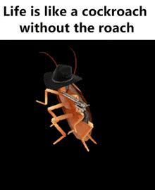 Cockroach Dance Meme 的图像结果