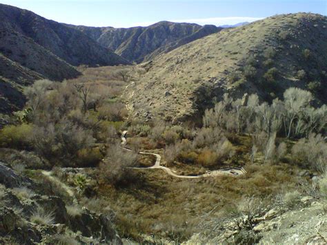 THE BEST Morongo Valley Nature & Wildlife Tours (2025)