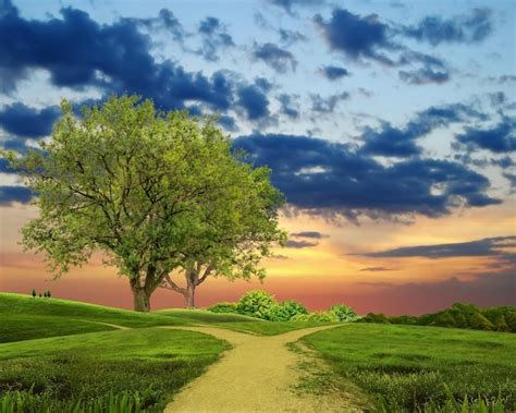 Nature Field 的图像结果