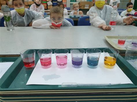 Red Cabbage Indicator 的图像结果