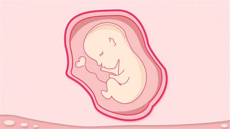 胎停危险吗？妊娠期胎儿做什么检查？_中康体检网