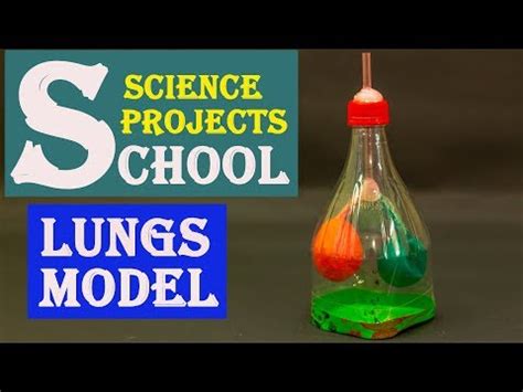 School Science Projects Lungs Model Video Lecture - DIY Science Fun ...