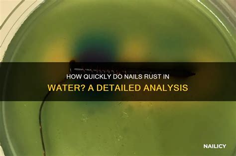 Image result for How Do Nails Rust