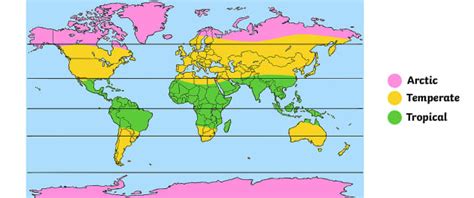 What Is the Weather? - Twinkl Homework Help - Twinkl