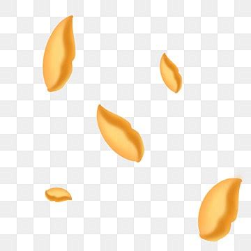 Golden Petals PNG Image, Eleven Petals Golden Black Flowers, Petal ...