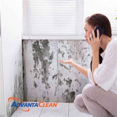 Understanding Mold Allergies: Symptoms, Risks, and Effective Solutions | AdvantaClean