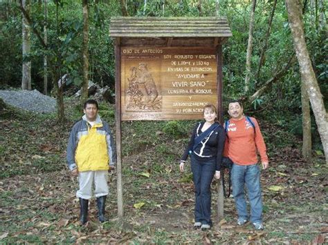 Yanachaga Chemillen National Park Tourism (2023): Best of Yanachaga ...