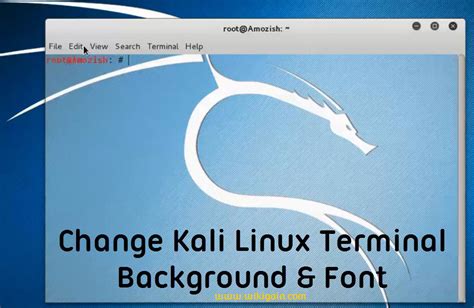 Image result for Kali Linux Customize