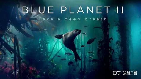 BBC Socumentry 的图像结果