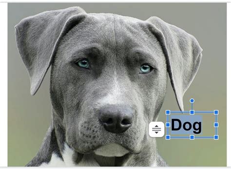 Image result for How to Create Slideshow On Chromebook