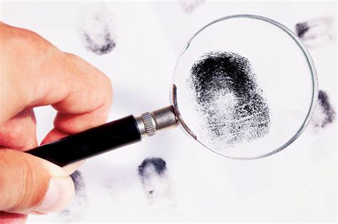 What Is Magnification 的图像结果