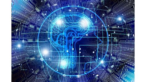 Image result for Neuroscience Degree Programs