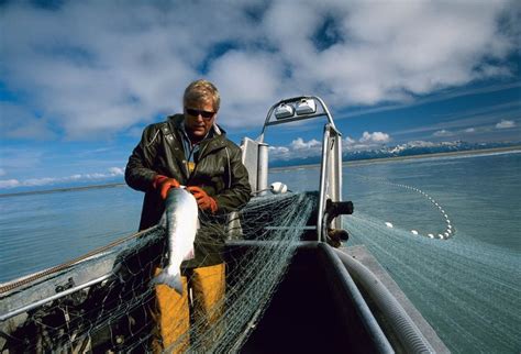 Traditional Aboriginal Fishing Methods: Sustainable Techniques & Tools