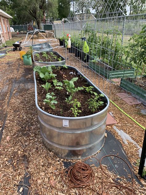 Raised Garden Bed Kit Tractor Supply at Guillermo Wilbur blog