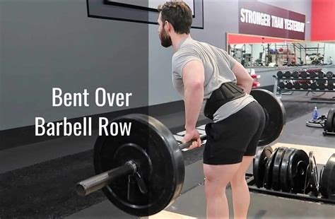 Barbell Row Muscles