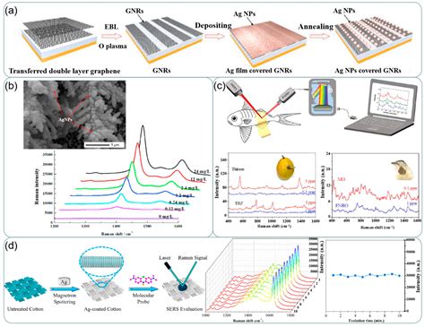 Silver-Based Surface Plasmon Sensors: Fabrication and Applications