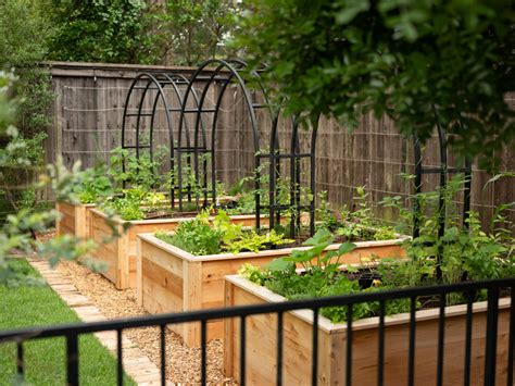 Gardenary's Nicole Arch Trellis in Raised Garden Beds • Gardenary