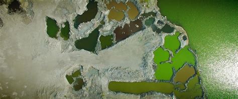 Environment Protection 的图像结果