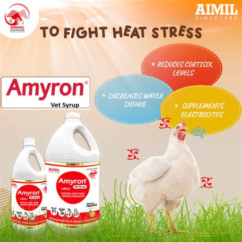 AIMIL Amyron Vet Syrup for poultry birds – AIMILVETS
