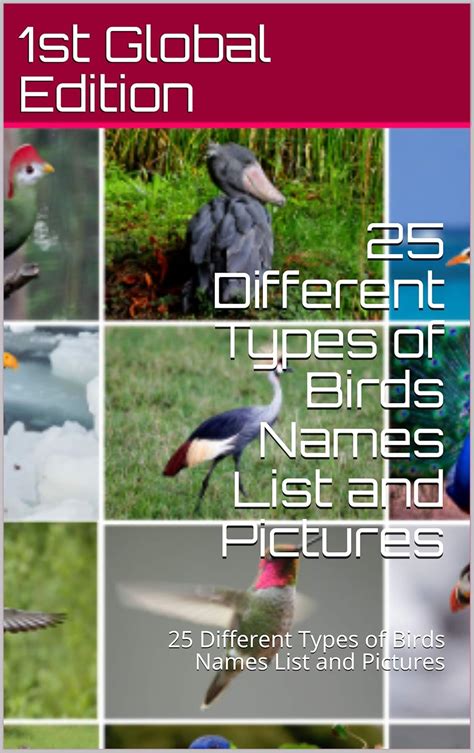 25 Different Types of Birds Names List and Pictures: 25 Different Types ...
