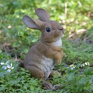 Image result for Bunny Rabbit Statue