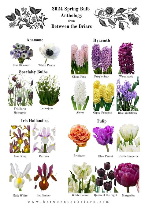 Spring Bulb Planting Guide 的图像结果