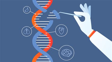 Image result for Genetic Variability Examples