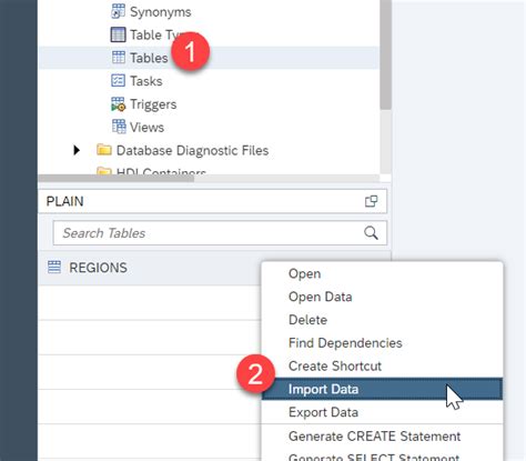 Access a Classic Schema from SAP Business Application Studio | SAP ...