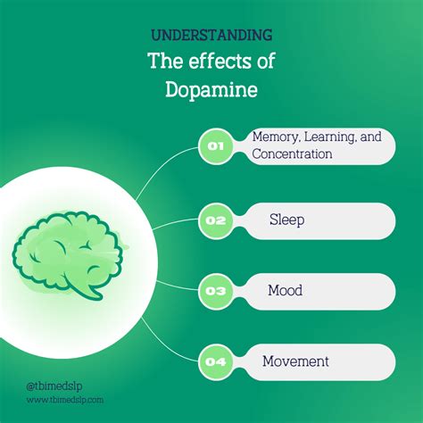 Navigate Your Brain's Chemistry: A Look at 6 Key Neurotransmitters. — TBI MedSLP
