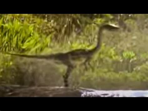Walking With Dinosaurs - Top Documentary Films