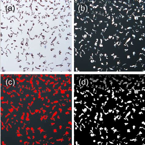 Image result for Microscopy Crystallization