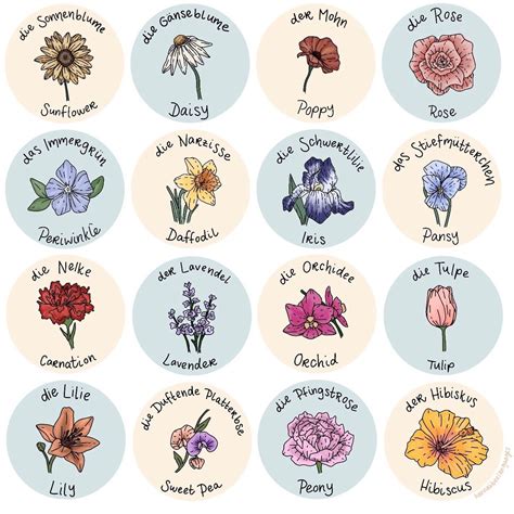 German Flowers Pictures And Names at Dennis Raleigh blog