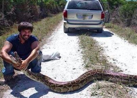 Image result for What a 15 Foot Python Can Do