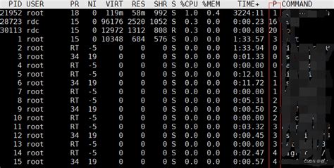 Onbot Java PID 的图像结果
