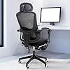 DROGO Premium Ergonomic Office Chair for Work from Home | High Back ...
