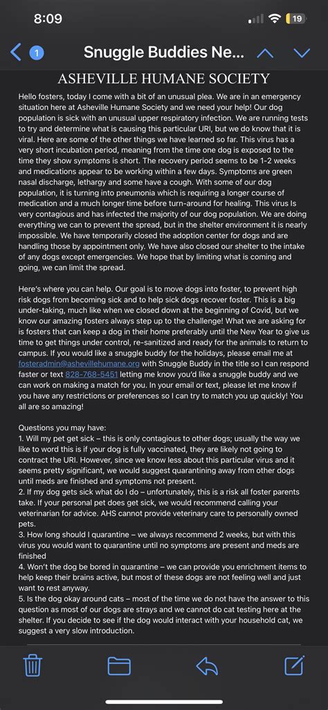 Go foster a dog from Asheville humane society for Christmas! : r/asheville