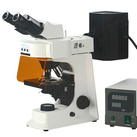 Fluorescence Microscope 的图像结果