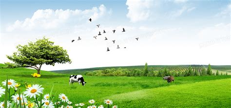 蓝天草地牧场奶牛背景图片素材免费下载_熊猫办公