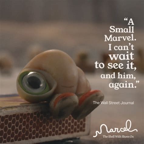 Image result for Marcel the Shell Birthday Meme