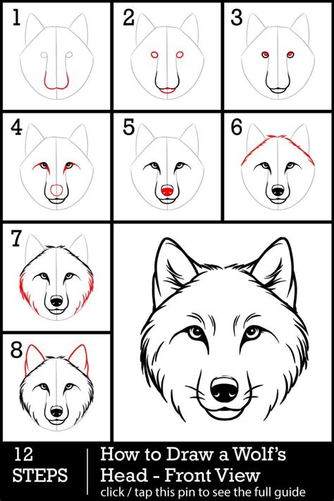 Image result for How to Draw Wolves