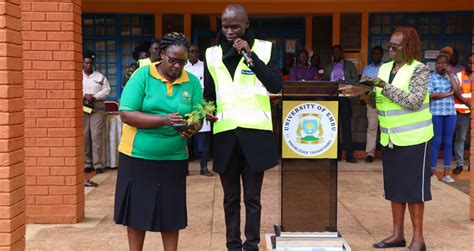 Image result for Tree-Planting Exercise