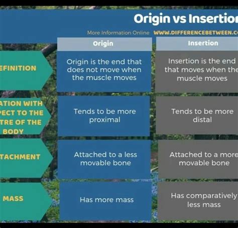 Calculate the profit earned after selling 1000 kg of dry fish per month ...