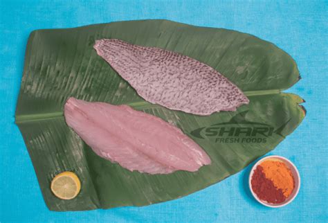 Red Snapper/Tam (L) – Fillet with Skin - Shark Fresh Foods