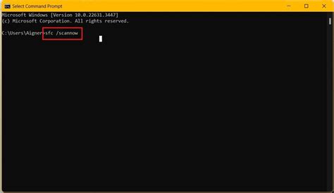 What is a FLV File and How to Repair FLV File? Try These 4 Fixes