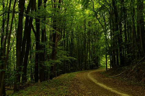 Images+Of+A+Christina+Piercing Photos, Download The BEST Free Images+Of ...