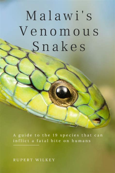 Buy Malawi's Venomous Snakes: A guide to the 19 species that can ...