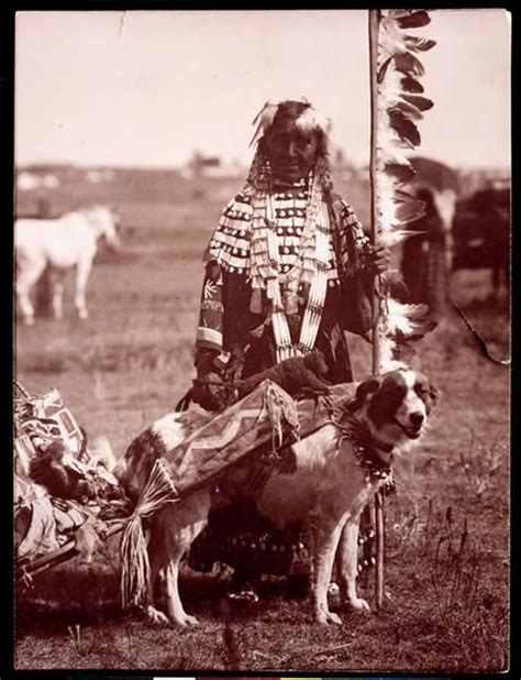 Did Native American Tribes Have Dogs? Historical Insights