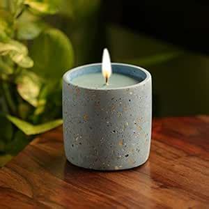 ExclusiveLane 'The Blue Lotus' Scented Soy Wax Candles with Fragrance ...