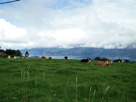 Travel Switzerland – Walking Trails, Ferry Rides & Quaint Towns ...
