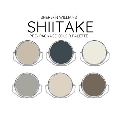 SHIITAKE Coordinating Colors Modern Interior Home- Pre-packed Paint ...